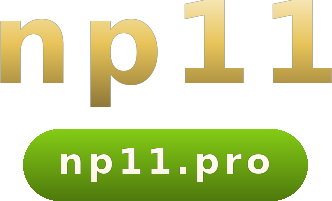 np11 logo